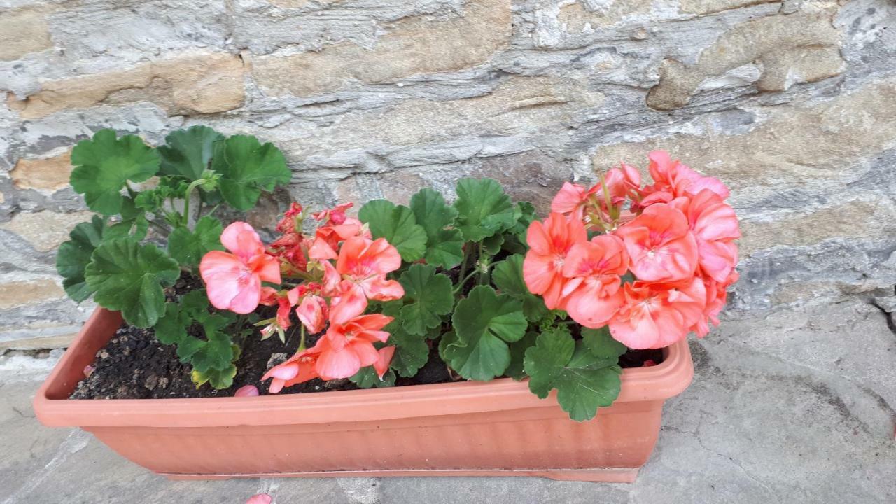 Guest House Zarkova Kushta Zheravna Εξωτερικό φωτογραφία